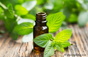 Fort Wayne peppermint pain relieving benefits